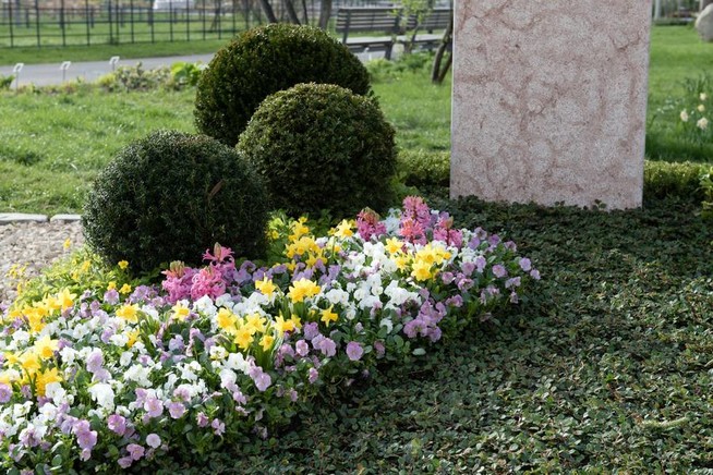 Friedhofsgärtner setzen Trends bei der Frühjahrsbepflanzung