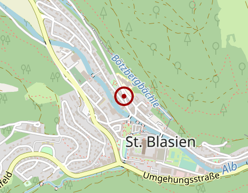 Karte: Lungenfachklinik St. Blasien