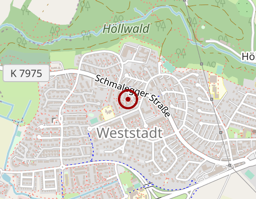 Karte: TDS - Driver Leasing Schwarzwald UG Dienstleistungen für Fahrertätigkeiten