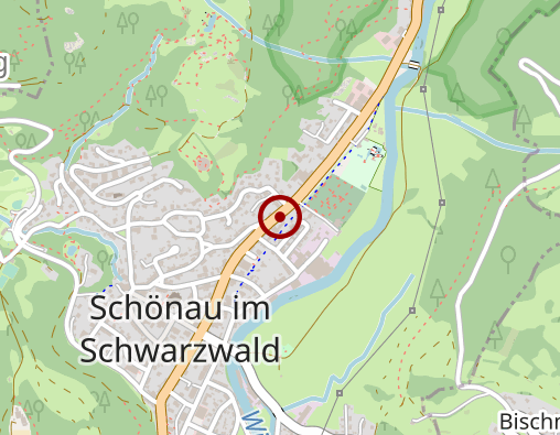 Karte: Kirchliche Sozialstation Oberes Wiesental gGmbH