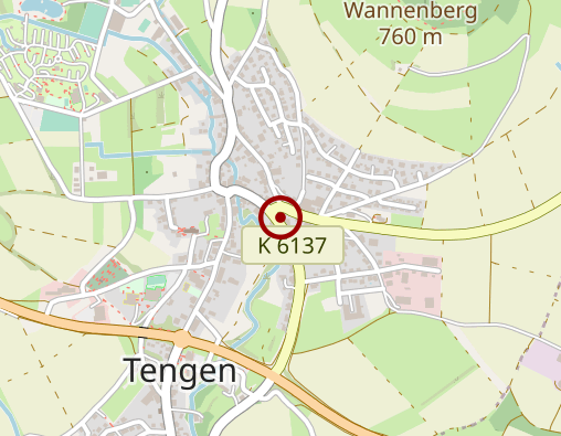 Karte: Bork Mario Psychokinesiologie