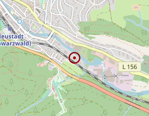 Karte: Munter auf 4 Pfoten