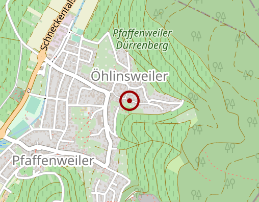 Karte: Hoffmann Peter Dipl.-Biol.