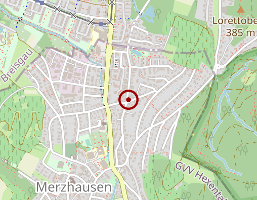 Karte: Greber P. Dr.med.