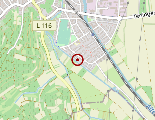 Karte: Hoff Angelika Dipl.-Psychologin