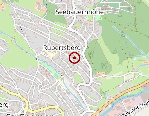 Karte: Bergmann Wolfgang Arzt