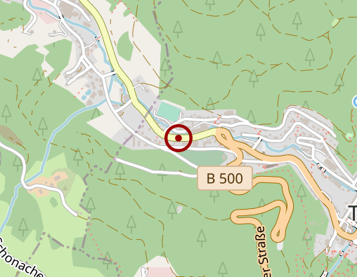 Karte: Betreuungsgruppe Wasserfalltreff im Kurhaus Triberg