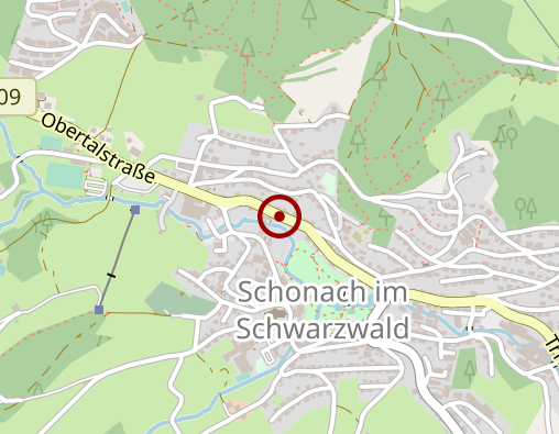 Karte: Hochmann Thomas Naturheilpraxis