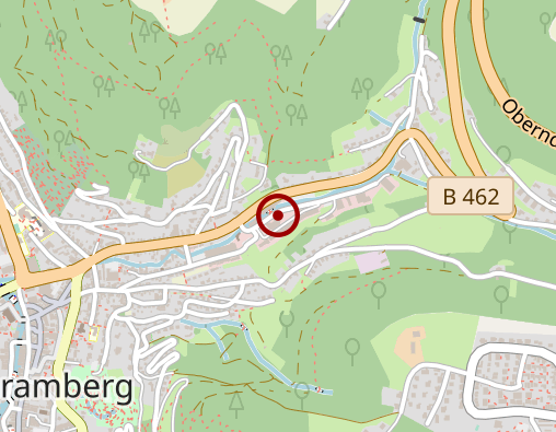 Karte: Bader Dominik Psychologischer Psychotherapeut