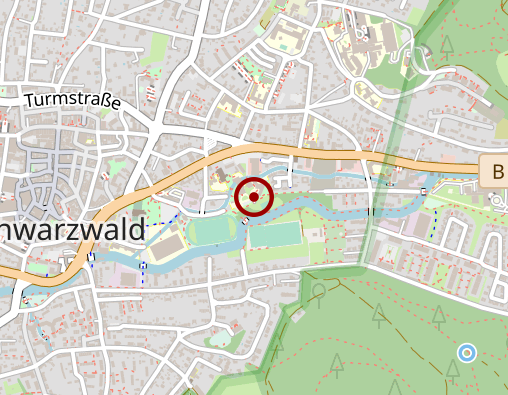 Karte: Kath. Sozialstation St. Vinzenz Lahr-Ettenheim e. V.