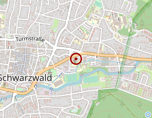 Karte: Betreuungs- und Entlastungsangebot in Gruppen - Gruppenangebot Tagesstätte Lahr