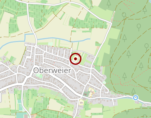 Karte: Betreuungs- und Entlastungsangebot in Gruppen - Betreuungsruppe Friesenheim