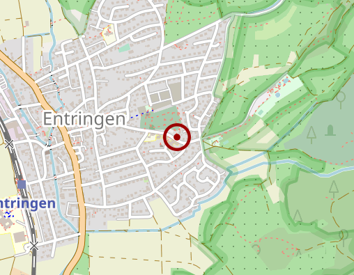 Karte: Löwen Caren S. Dipl.-Psych. Psychologische Beratung