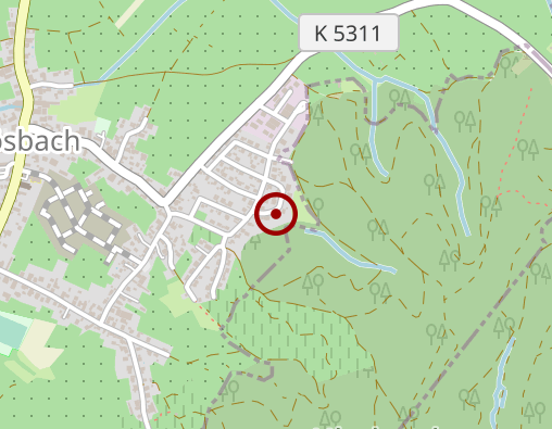 Karte: Bühler Anita