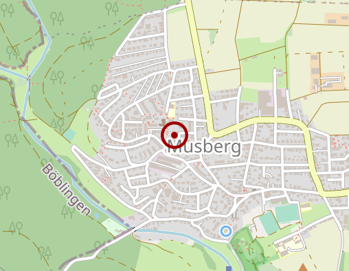 Karte: Dr. Ingrid Bühler-Weller Heilpraktikerin