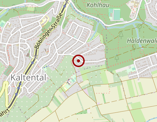 Karte: Netzer Brigitte Dipl.-Psychologin