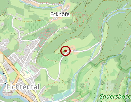 Karte: Klinkum Mittelbaden Lichtental Schafberg Altenpflegeheim