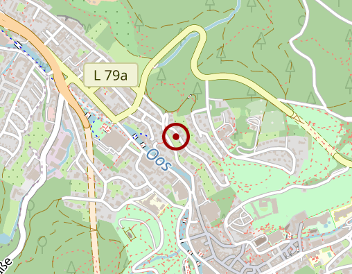 Karte: Revitalinstitut für Naturheilverfahren