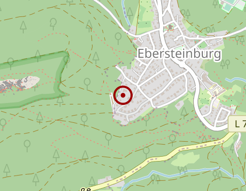 Karte: Schneider W. Gesund Ins Alter