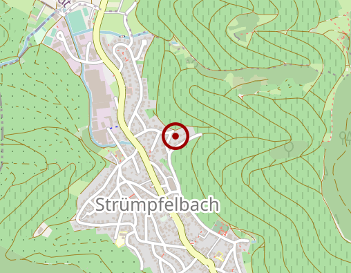 Karte: Wiesenauer Markus Dr.med. Arzt für Allgemeinmedizin Homöopathie Naturheilverfahren