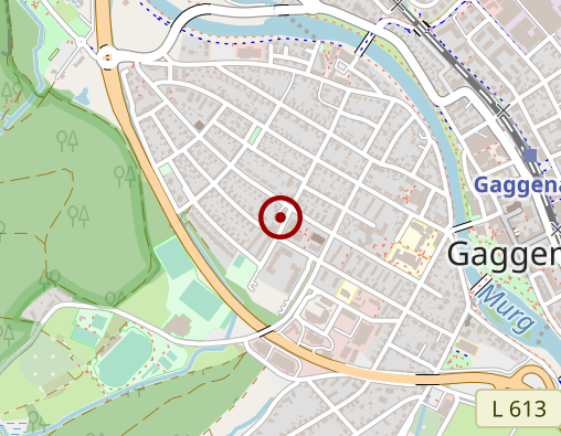 Karte: Schwarzwald-Vital-Apotheke