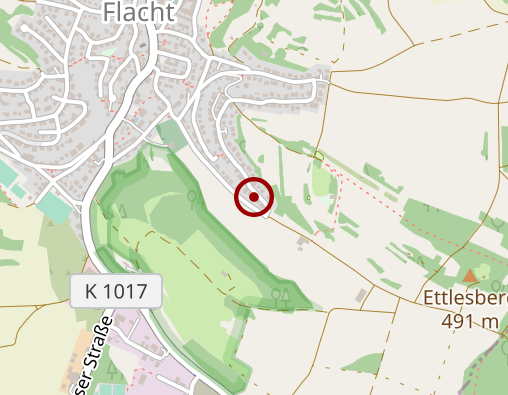 Karte: Brümmer Angelika Dr. Tierheilpraxis