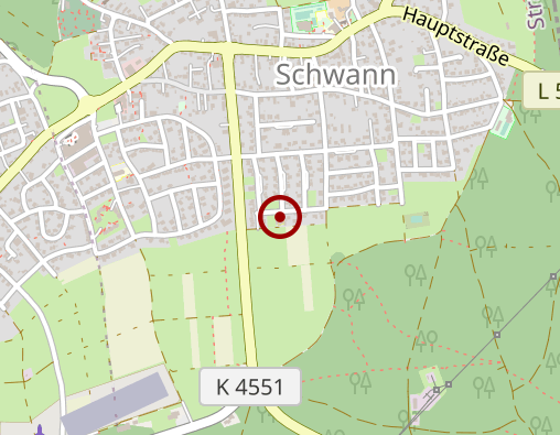 Karte: Seniorenheim Schwann GmbH