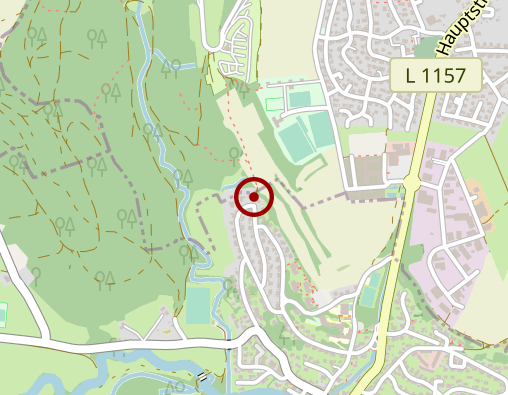 Karte: Weng Sieglinde Haar-Energetik