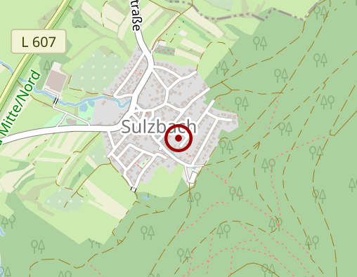 Karte: Betreuungsgruppe für Menschen mit eingeschränkter Alltagskompetenz "Ignatiusstüble Sulzbach"