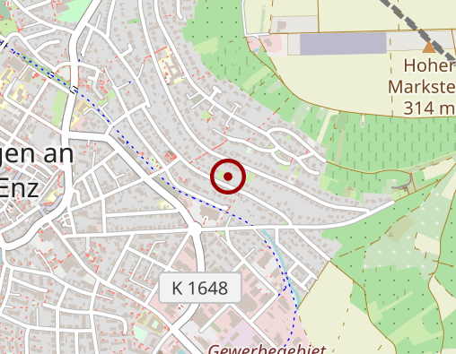 Karte: Tasic Ildiko Dr.med. Allgemeinmedizin und Naturheilverfahren