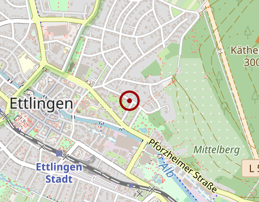 Karte: Angst B., Steppacher A.