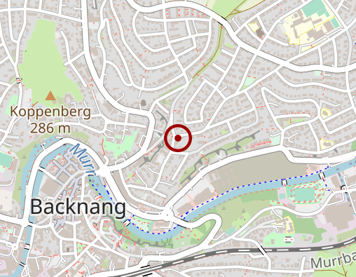 Karte: Früh Thomas Physiotherapeut