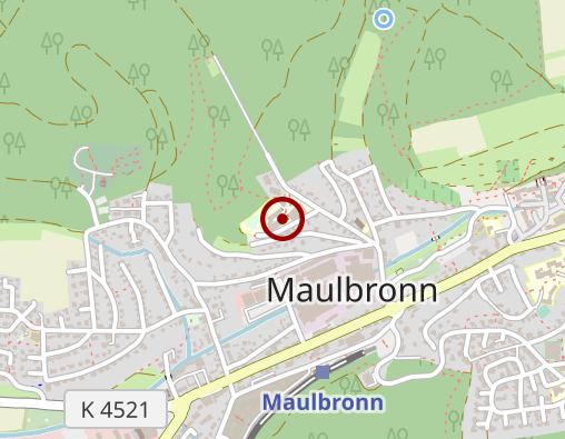 Karte: Klinik für Kinderneurologie und Sozialpädiatrie Kinderzentrum Maulbronn gGmbH