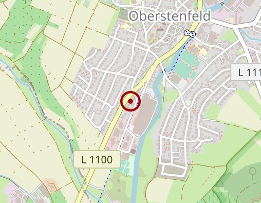 Karte: Bühler Carmen Naturheilpraxis