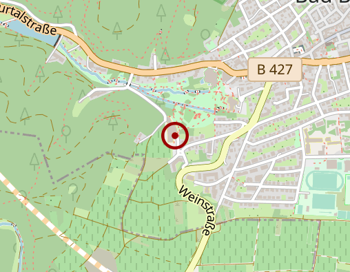 Karte: Edith-Stein-Fachklinik