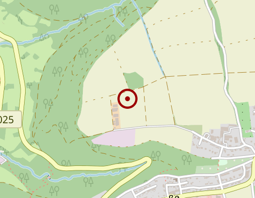 Karte: Goldschmitt-Zimmer Nadine Physiotherapeutische Praxis