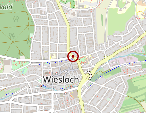 Karte: Betreuungsgruppe "Landpartie" der kirchlichen Sozialstation Wiesloch