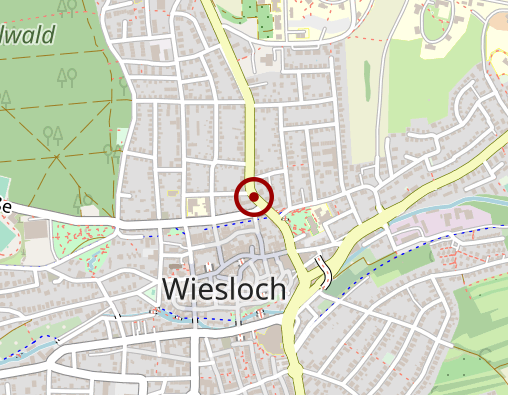 Karte: Gruppenbetreuung - Freizeitaktivitäten, Treffs, Reisen und Ferienfreizeiten der offenen Hilfen Lebenshilfe Wiesloch