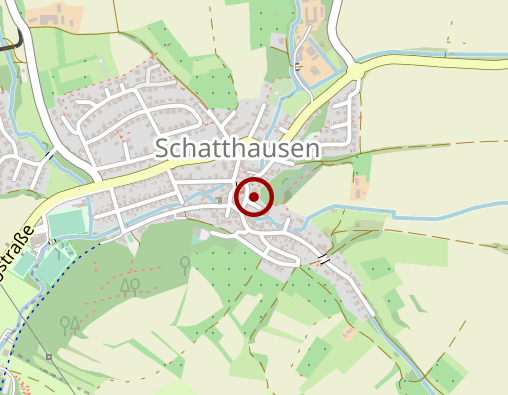 Karte: Betreuungsgruppe "Kochgruppe" der kirchlichen Sozialstation Wiesloch