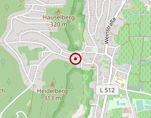 Karte: Steinkraus Bodo