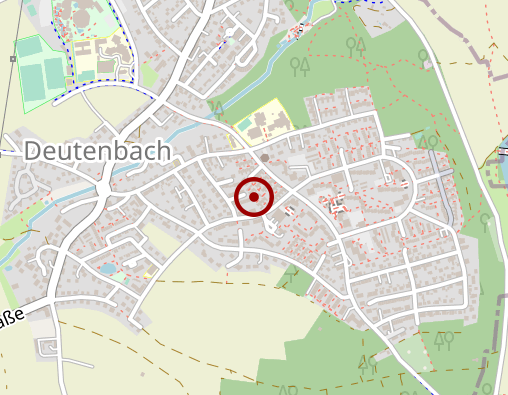 Karte: Loew Heidemarie Naturheilpraxis