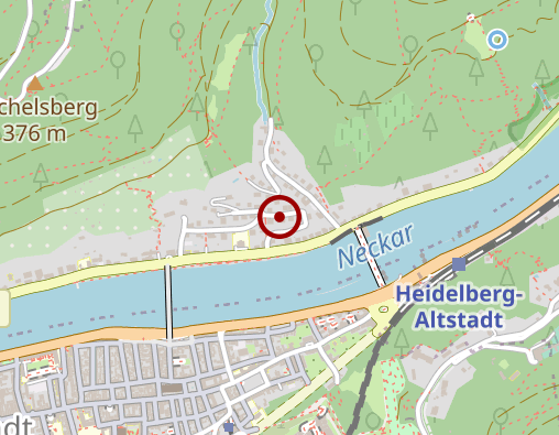 Karte: Feledy Monika