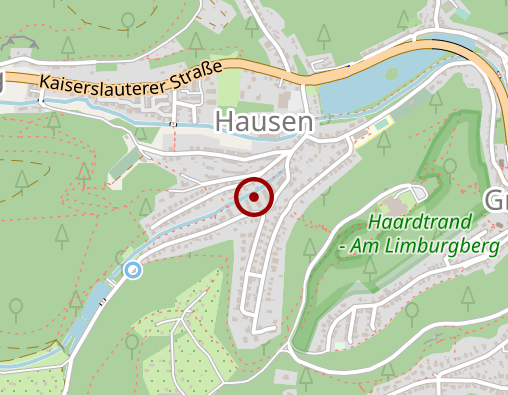 Karte: Taxi Service Bad Dürkheim e.K.