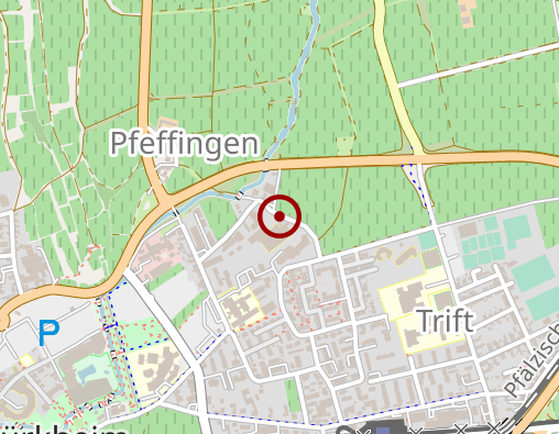 Karte: Lebenshilfe Bad Dürkheim e.V.