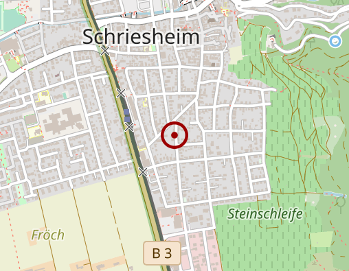 Karte: Pflegehelden Ludwigshafen