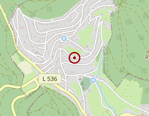 Karte: Milton-Erickson Institut