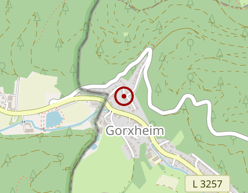 Karte: Biotikon Dr.med. Alexander Michalzik