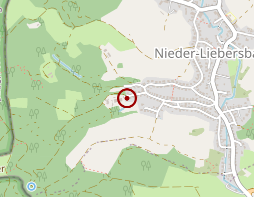 Karte: Familientherapie Zentral Institut Dr. Maria Bosch Weinheim e.V.