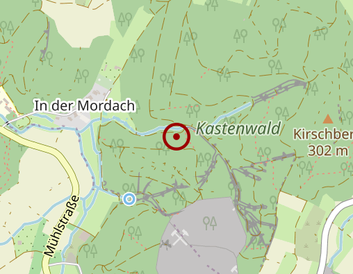 Karte: Ligtenberg Katinka