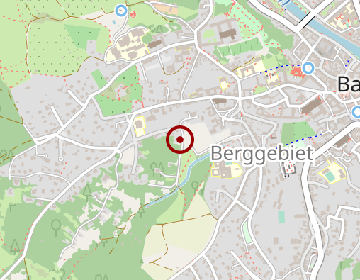 Karte: El-Zinari Samia Dipl.-Psychologin